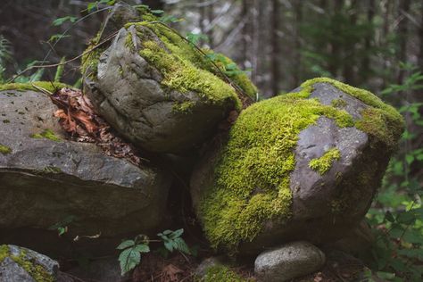 Voice Of Nature, Deconstructivism, Rock Photography, Beauty Magic, Green Planet, Landscape Photography Nature, Environment Design, Environment Concept Art, Natural Environment