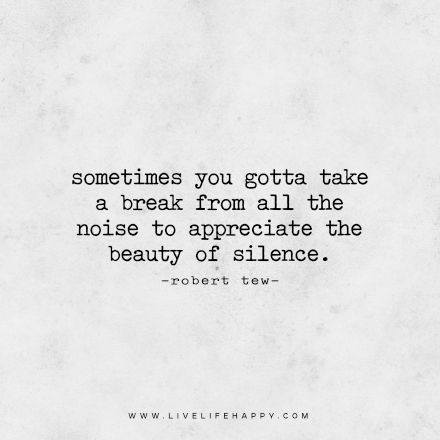Live Life Happy Quote: Sometimes you gotta take a break from all the noise to appreciate the beauty of silence. – Robert Tew Taking A Break From People Quotes, Give Yourself A Break Quotes, Take Breaks Quotes, Quotes On Taking A Break, On A Break Quotes, Break From Everything Quotes, Taking A Break From People, Break From Life Quotes, Take A Break Quotes Life