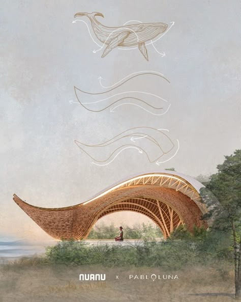 Crazy Architecture, Biomimicry Architecture, Shitake Mushroom, Concept Models Architecture, Architecture Drawing Plan, Pavilion Architecture, Bamboo Architecture, Pavilion Design, Conceptual Architecture