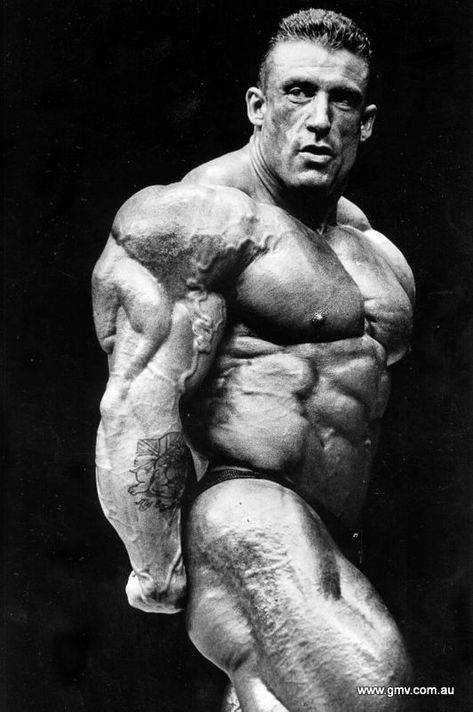 bodybuilding crazy triceps - Google Search Dorian Yates Workout, Mr Olympia Winners, Olympia Bodybuilding, Classic Bodybuilding, Male Bodybuilders, Dorian Yates, Bodybuilding Pictures, Bodybuilders Men, Body Builders