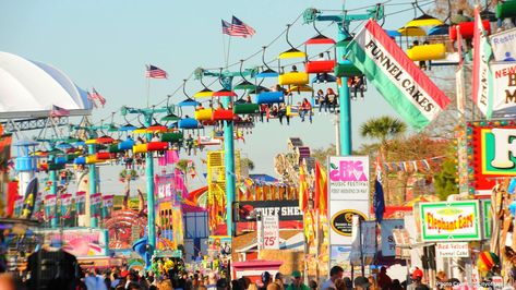 The 2023 Florida State Fair has all-new food, attractions and more! Florida State Fair, Things To Do In Tampa, Livestock Barn, Sky Ride, Budweiser Clydesdales, Cattle Ranching, Country Rock, Clydesdale, Thrill Ride