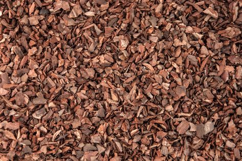 Pine Bark Mulch, Mulch Alternatives, Rock Mulch, Types Of Mulch, Mulch Landscaping, Pergola Pictures, Pine Bark, Making Plant Pots, Wood Mulch