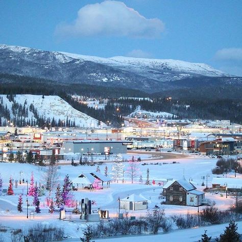 Image may contain: sky, snow, tree, mountain, outdoor and nature    #Regram via @BtbxdNoHZrw Yukon Territory Canada, Whitehorse Yukon, Yukon Canada, Canada Pictures, Emerald Lake, Explore Canada, Mountain Life, World Health Organization, American Cities