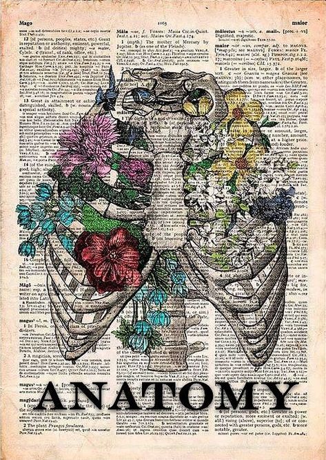 Anatomy And Physiology Aesthetic Cover, Beautiful Anatomy Art, Aesthetic Anatomy Art, Anatomy Binder Cover, Anatomy Book Cover, Anatomy Poster Aesthetic, Anatomy And Physiology Cover Page, Anatomy Cover Page, Medical Posters Aesthetic