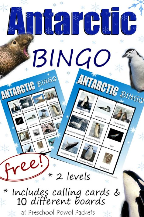 Perfect for preschool and elementary school! Free Antarctic Animals BINGO!! Preschool Arctic Animals, Antarctica Activities, Polar Animals Preschool, Arctic Animals Activities, Arctic Animals Preschool, Habitat Activities, Antarctic Animals, Animals Preschool, Animal Lessons