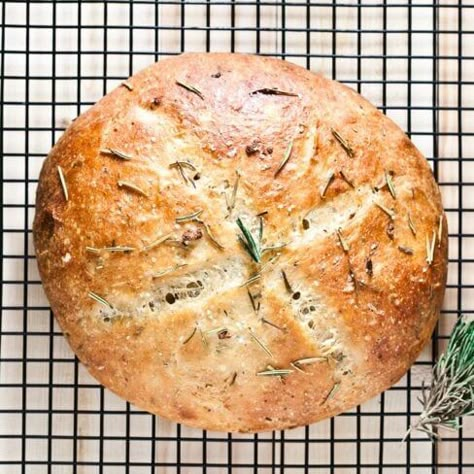 Rosemary Garlic Bread - Chew Out Loud Rosemary Garlic Bread Recipe, Rosemary Garlic Bread, Rosemary Bread, Chewy Bread, French Bread Recipe, Dutch Oven Bread, Garlic Bread Recipe, Artisan Bread Recipes, Rosemary Garlic