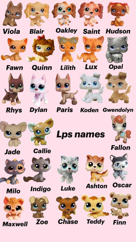 All the names I’ve given to my lps Stitch Drawings, Custom Lps, Lps Customs, Lilo And Stitch Drawings, Littlest Pet Shops, Lps Toys, Lps Pets, Little Pet Shop Toys, Sylvanian Family