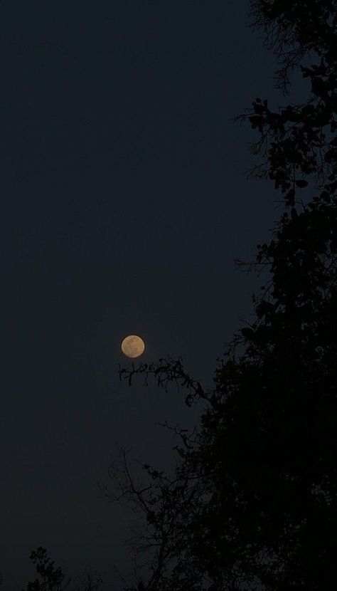 Full Moon Pictures, Moon Pics, Night Sky Moon, Moonlight Photography, The Moon And Stars, Night Sky Photography, The Moon Is Beautiful, Look At The Moon, Sky Moon