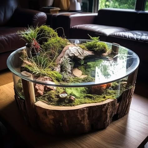 Planty Living Room, Paludarium Mini, Terrarium Coffee Table, Glass Jar Diy, Terrarium Table, Miniature Zen Garden, Plants Terrarium, Ipad 9th Generation, Beautiful Terrariums