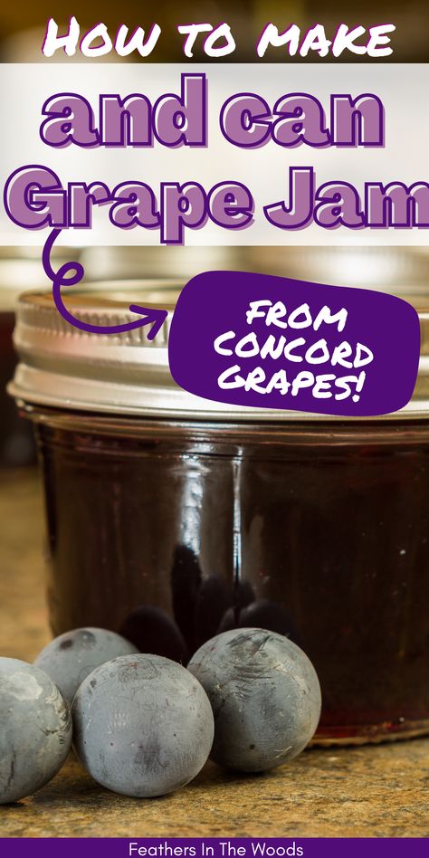 Canning Tutorial, Concord Grape Recipes, Concord Grape Jam, Grape Jam Recipe, Homemade Grape Jelly, Orzo Skillet, Concord Grape Jelly, Jam Homemade, Mediterranean Orzo