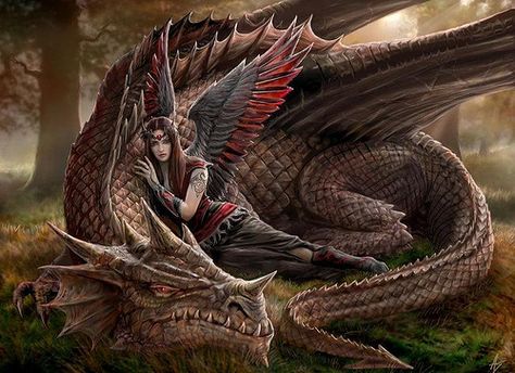 dragon and angel by deathsythe | Flickr - Photo Sharing! Anne Stokes Art, Dragons And Fairies, Dragon Medieval, Fairies And Dragons, Fantasy Dragons, Anne Stokes, Luis Royo, Here There Be Dragons, Boris Vallejo