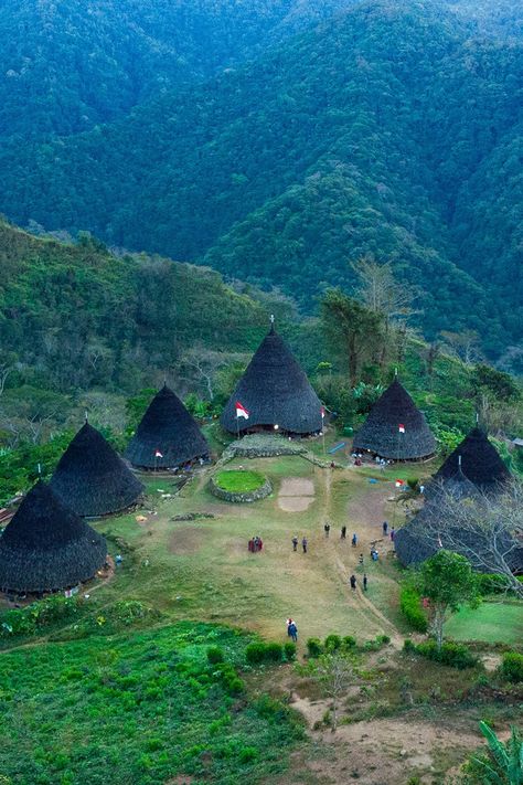 The traditional village of Wae Rebo in the district of Manggarai on the island of Flores, East Nusatenggara. Wae Rebo, East Nusa Tenggara, Types Of Ferns, Unique Houses, Above The Clouds, Top Of The World, Traditional House, Public Transport, Small Towns