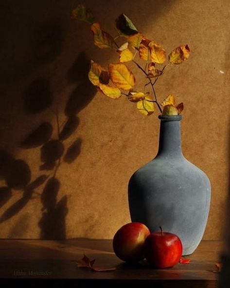 Fall Still Life Photography, Autumn Still Life Photography, Autumn Still Life, Autumn Mood Board, Photo Study, Still Life Artists, Hello September, Painting References, Still Life Photos