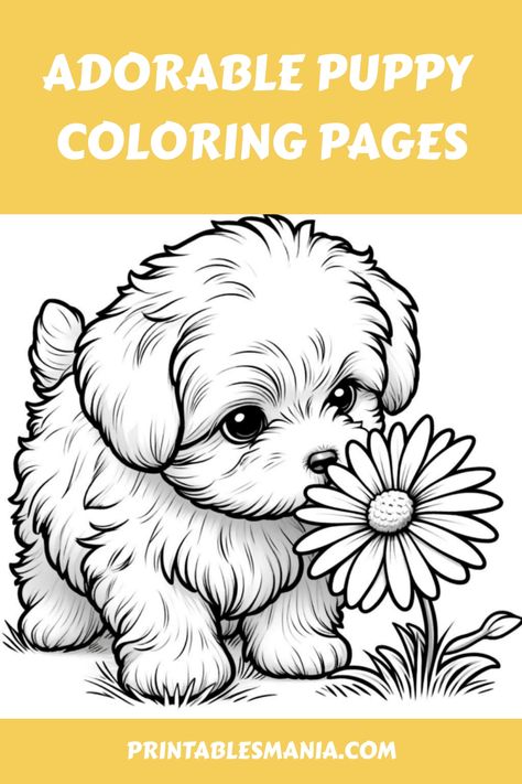 Discover a variety of adorable puppy coloring pages for kids and adults! These cute and easy-to-print free printable designs are perfect for unleashing your creativity. Whether you're a beginner or an experienced colorist, these aesthetic puppy coloring pages will provide hours of relaxing entertainment. Get your colored pencils ready and dive into the world of fluffy puppies today! Printable Puppy Coloring Pages, Puppy Printables Free, Dog Pictures To Color, Cute Puppy Coloring Pages, Free Dog Coloring Pages, Dog Coloring Pages Free Printable, Cute Dog Coloring Pages, Fluffy Pomeranian, Aesthetic Puppy