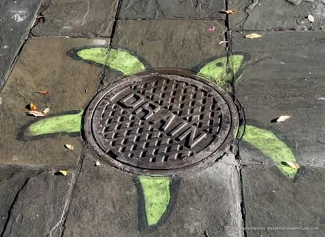 Turtle Street Art, French Quarter, New Orleans © 2018 Patty Hankins Street Art Ideas, Street Art Inspiration, Fun Chalk Art, Guerilla Art, David Zinn, French Quarter New Orleans, Chalk Ideas, Sidewalk Chalk Art, Sidewalk Art