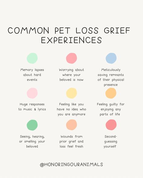 🚨 Am I Normal? Is This Weird? Pet loss can make us feel so isolated… 🐾 When grieving a beloved, it's common to worry about your grief responses and expressions. You might wonder, “Am I nuts?” “Is this acceptable?” “Am I the only one feeling this way or doing this ritual?” 💕 Rest assured, all your grief responses are valid and allowed. There is no "normal" in grief. Your reactions, no matter how unusual they may seem, are a testament to the deep bond you share with your pet. 🌈 Be kind and g... Spiritual Care, Gentle With Yourself, Call Me Now, Am I The Only One, Vivid Dreams, Work Tips, New Normal, Coping Strategies, Personal Journey