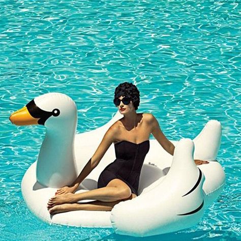 Pin for Later: Proof the Inflatable Pool Swan Is the Coolest Summer Accessory . . . Went Retro Swan Float, Oh My Goddess, Desert House, Swan Princess, Pool Floats, Pool Bar, Swan Lake, Outdoor Parties, Happy Weekend