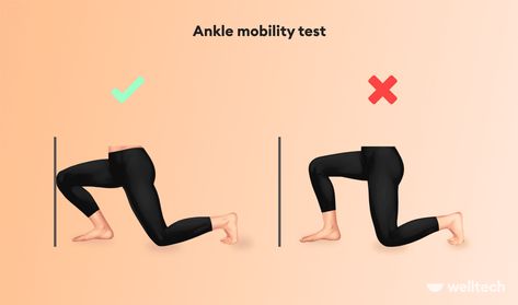 Ankle Mobility Exercises, Ankle Mobility, Foot Exercises, Deep Squat, Ankle Injury, Sprained Ankle, Mobility Exercises, Body Anatomy, Daily Workout