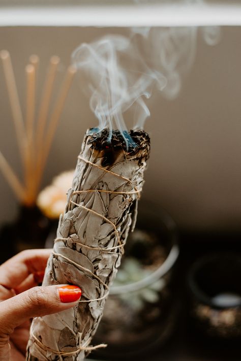 white California sage | sage smudging | cleansing | sacred space Sage Smudging, White Sage Smudge, Sage Smudge, Buffalo New York, Witch Aesthetic, Smudge Sticks, White Sage, Crystal Shop, Sacred Space