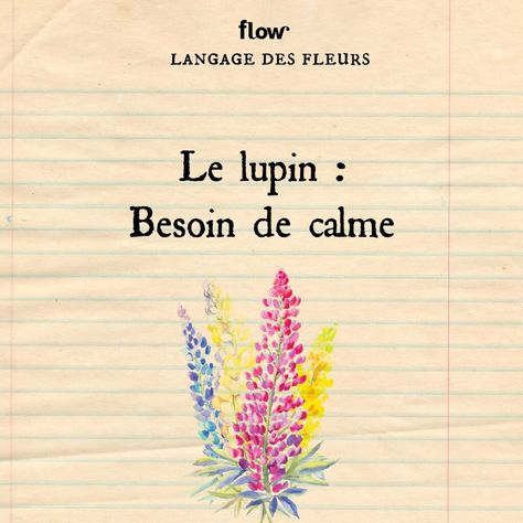 Langage des fleurs | Flow Bullet Journal School, Language Of Flowers, Enola Holmes, Flower Quotes, Flowers Nature, Letter Board, Floral Art, Coding, Flowers