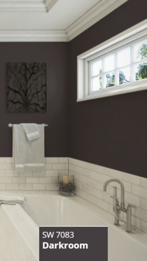 Bathroom with Darkroom Sherwin-Williams Paint Color SW-7083. Dark Purple Sherwin Williams, Darkroom Paint Color, Darkroom Sherwin Williams, Sherwin Williams Purple Paint Colors, Purple Wall Color, Dark Purple Wall, Purple Paint Color, Energy Colors, Basement Paint