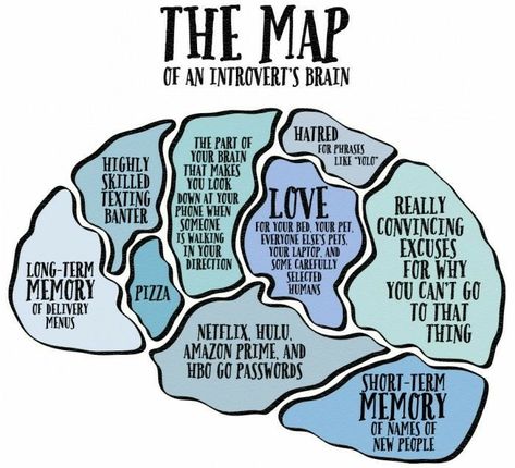 Introvert s brain Introvert Humor Funny, World Introvert Day, What Is An Introvert, Brain Map, Introvert Personality, Brain Mapping, Charcoal Tablets, Introverts Unite, Kids Party Wear