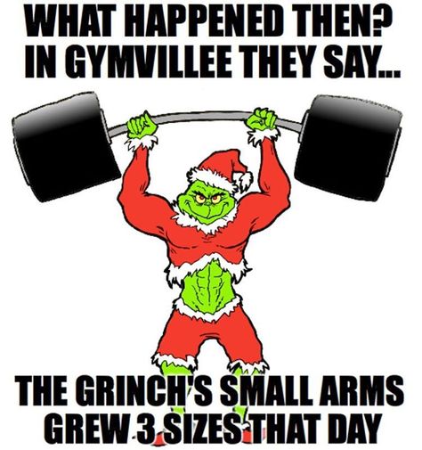 Get gains for Christmas. Grinch Workout, Fitness Memes, Christmas Puns, Gym Crush, Fitness Icon, Bodyweight Exercises, Christmas Elves, Anytime Fitness, Workout Memes