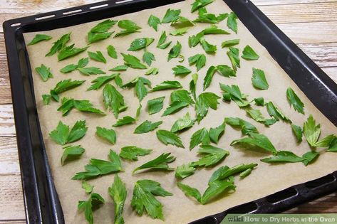 Farming Aesthetic, Drying Fresh Herbs, Herb Drying, Herbs Medicinal, Simmer Pots, Dried Bay Leaves, Spice Rubs, Survival Foods, Homestead Recipes