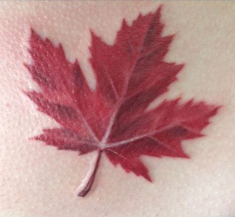 Daydream Tattoo, Gary Tattoo, Polka Trash Tattoo, Tattoo Pumpkin, Maple Leaf Tattoos, Fall Leaves Tattoo, Celtic Tattoo Symbols, Canadian Tattoo, Tattoo Elements