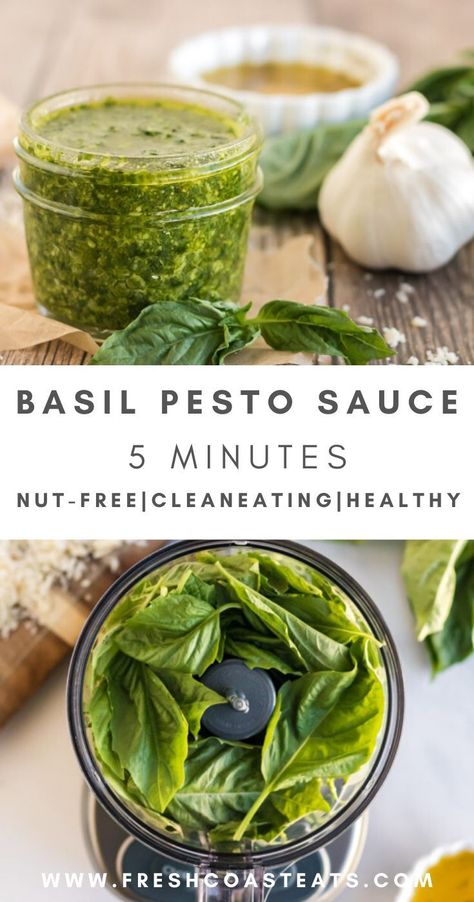 Pesto Basil, Fresh Basil Recipes, Nut Free Pesto, Basil Pesto Sauce, Basil Pesto Recipes, Basil Recipes, Herb Recipes, Pesto Recipe, Pesto Sauce