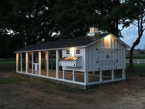 Carolina Coop, Simple Chicken Coop, Chicken House Ideas, Fancy Chicken Coop, Cute Chicken Coops, Coop Run, Chicken Coop Garden, Backyard Renovation, Backyard Chicken Coop Plans