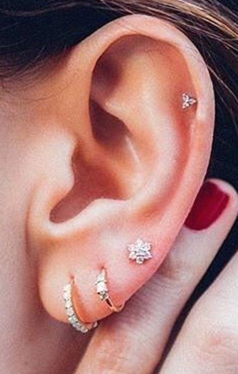 Best Rose Tattoo, Triple Ear Piercing, Ear Pierce, Rose Tattoo Ideas, Ear Peircings, Ear Piercings Tragus, Best Rose, Multiple Ear Piercing, Tragus Piercing Jewelry