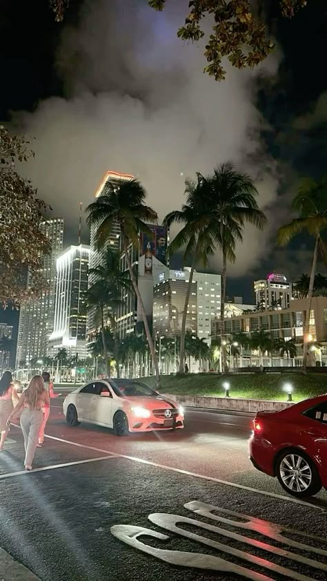 Miami Luxury Aesthetic, Miami Lifestyle Aesthetic, Miami Club Aesthetic, Downtown Miami Night, Rich City Aesthetic, Miami Party Aesthetic, Miami City Night, Miami Night Aesthetic, Miami Aesthetic Night