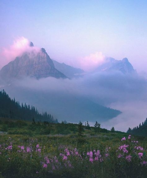 dqwdqwdqdwqwdqwdqwdqwdqwdqwd Nice Scenery, Mountain Aesthetic, Peaceful Vibes, Pretty Landscapes, Pretty Photos, Glacier National Park, Future Life, Nature Aesthetic, Pretty Places