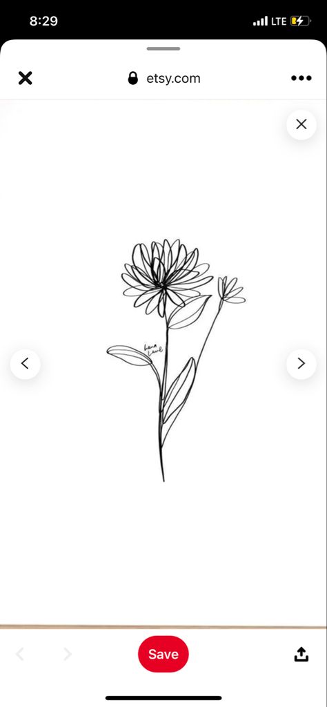 One Line Chrysanthemum Tattoo, Single Line Chrysanthemum Tattoo, Simple Chrysanthemum Tattoo Outline, November Flower Tattoo Simple, Crysthanamum Flowers Tattoo, Fineline Chrysanthemum Tattoo, Chrythansemum Tattoo, Chrysanthemum Line Tattoo, Chrysanthemum Tattoo Fine Line