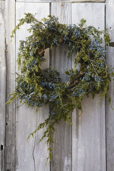 Natal Natural, Navidad Natural, Hantverk Diy, Wreath Hanging, Homemade Wreaths, Deco Nature, Natural Christmas, Rustic Wreath, Wreaths & Garlands