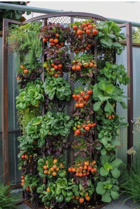 Diy Garden Soil, Vertical Garden Idea, Garden Soil Mixture, Vertical Vegetable Garden Ideas, Spices Garden, House Utensils, Edible Garden Ideas, Soil Mixture, Aesthetic Farm