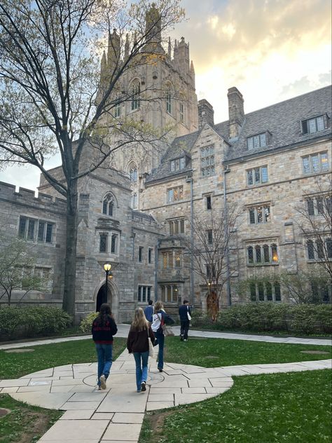 Yale School Of Architecture, Yale University Interior, Harvard University Law School, Yale College Aesthetic, Yale Campus Aesthetic, Yale Medical School Aesthetic, Yale Student Aesthetic, Yale University Aesthetic, Yale University Campus