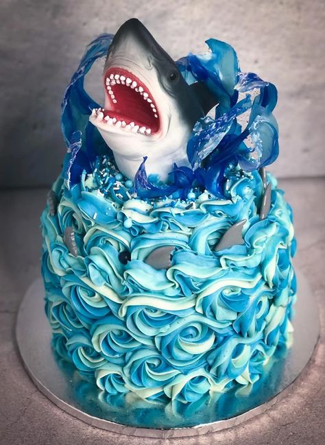 Megladon Shark Cake, Easy Shark Cake Ideas, Shark Head Cake, Shark Party Cake, Shark Birthday Cake Ideas, Shark Birthday Cakes For Boys, Easy Shark Cake, Megalodon Cake, Shark Cookie Cake