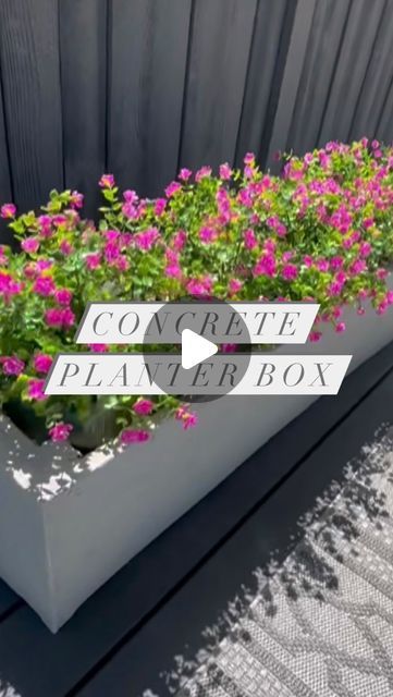 Kim Woodward | DIY & Home on Instagram: "Check out these easy to build faux cement planters 🌺. I love the look of cement planters but they are crazy expensive so I built my own. I already had the wood boxes from another project so decided to spruce them up with cement board and cement covering. After it dries I gave it a light sand. I didn’t want it too rough or too smooth just textured enough. I did also spray some waterproof cement sealer too for added protection. I have 5 more wooden boxes left and will be transforming them all with this method. ❤️Live how they turned out. 🌺🌺🌺🌺. #planter #planterbox #diyhousetohome #concreteplanter #concreteplanters #diygarden #landscapeinspiration #landscaping #flowers" Concrete Planter Ideas Outdoor, Potted Flower Bed, Cheap Planter Ideas Diy, Concrete Planters Front Porch, Cement Planter Boxes, Styrofoam Planter Boxes, Tiled Planter Boxes, Ceramic Tile Planter Diy, Diy Stucco Planter