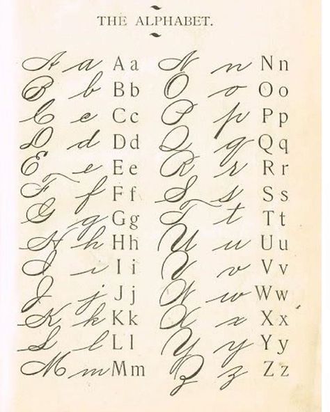 Early lesson in penmanship, 1908. I wish I had the ability to make words look beautiful and that this was still a thing. I write so… Penmanship Alphabet, Cursive Handwriting Fonts, Fancy Handwriting, Cursive Writing Practice Sheets, Fancy Cursive, Alphabet Handwriting Practice, Writing Practice Sheets, Cursive Handwriting Practice, Handwriting Examples