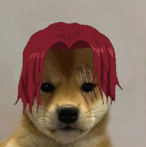 Anime one piece shanks doge pfp Anime Dog Pfp, Doge Pfp, Pfp Dog, Dog Pfp, Red Pfp, Anime Dog, Red Aesthetic Grunge, رورونوا زورو, Cat Profile