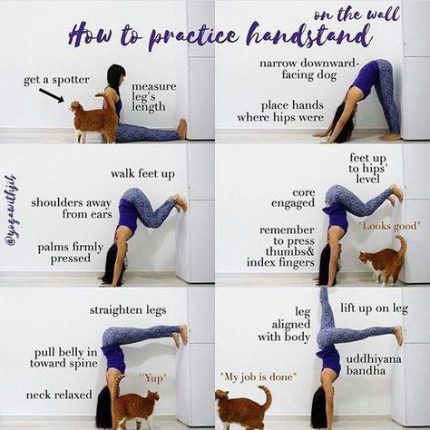 Hand Stand, Yoga Goals, Yoga Handstand, Frosé, Exercise Program, Yoga Posen, Yoga Stretching, Yoga Exercises, Yoga Workouts