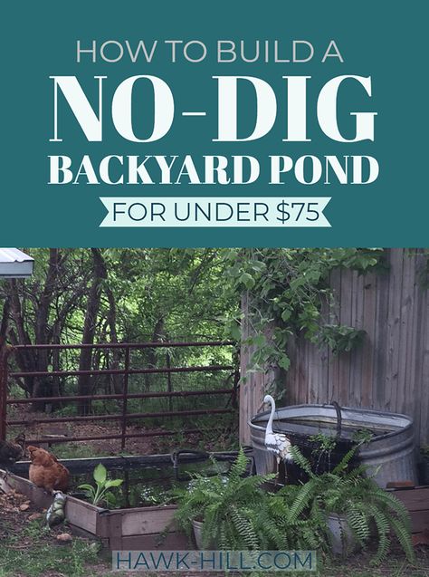 How to Build a No-Dig Backyard Pond for Under $70 · Hawk Hill Diy Backyard Pond, Duck Ponds, Above Ground Pond, Backyard Pond Ideas, Pond Koi, Backyard Ducks, Turtle Pond, Chicken Tractor, Diy Pond