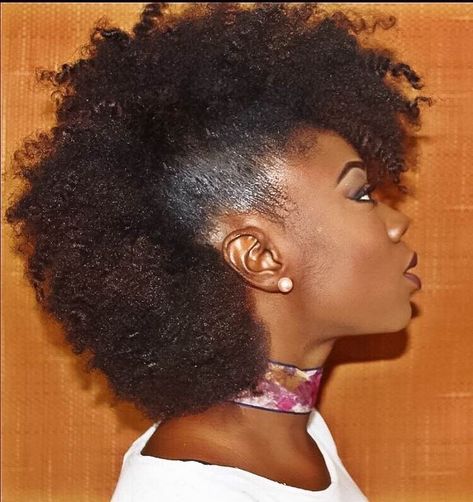 This video tutorial makes me want to grow out my TWA and sport a frohawk. Love it! The Easiest Frohawk Tutorial Ever! | Curly Nikki | Natural Hair Care Mohawk Natural Hairstyles, Hair Products For Black Women, Natural Hair Mohawk, Curly Nikki, Hair Care Ideas, Mohawk Styles, Braided Updos, Best Natural Hair Products, Natural Hair Short