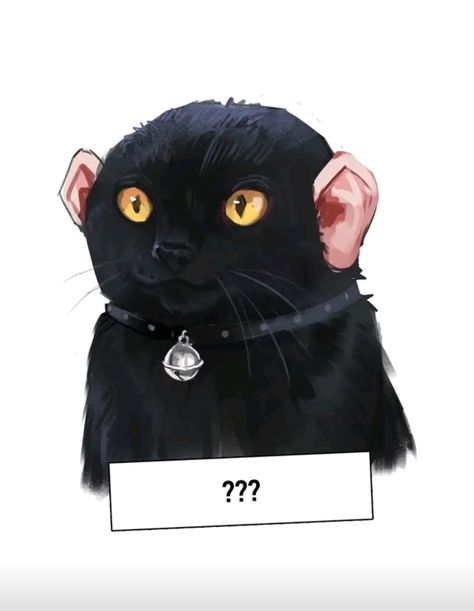 cat w human ears Reaction Image, Human Ear, Types Of Cats, Kitty Art, Animal Ears, Cat Girl, Cat Ears, Seals, Funny Images