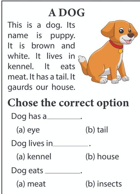 A dog . Read  and choose the correct answer . easy reading worksheet Easy Comprehension Worksheets, Easy Reading Worksheets, Reading Comprehension Worksheets Grade 1, Phonics Reading Passages, First Grade Reading Comprehension, Reading Comprehension For Kids, English Stories For Kids, Reading Comprehension Lessons, Kindergarten Reading Activities