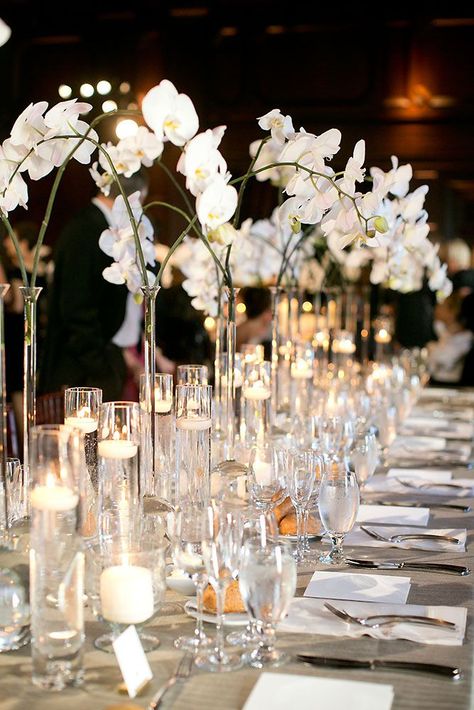 tall wedding centerpieces in high vases branches with white orchids josh gruetzmacher photography Orchid Centerpieces Wedding, Orchid Centerpieces, Modern Centerpieces, Tall Wedding Centerpieces, Spa Night, Unique Wedding Flowers, Orchid Wedding, Wedding Floral Centerpieces, Wedding Centerpieces Diy