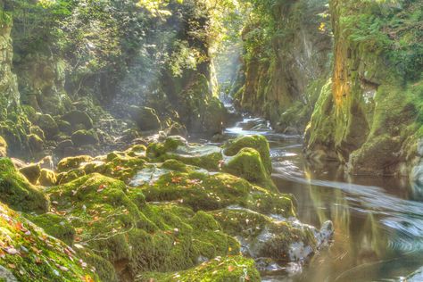 숲 사진, Fairy Glen, Fairycore Aesthetic, Fotografi Digital, Ethereal Aesthetic, Fairy Aesthetic, Cottagecore Aesthetic, Green Forest, Forest Fairy