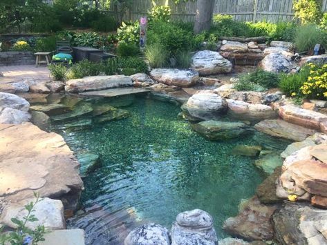 Swim Pond, Ponds Ideas, Ideas De Piscina, Swimming Pool Pond, Swimming Ponds, Pond Pool, Natural Swimming Ponds, Pool Pond, Small Pond